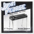 John Pearse #7200 Pedal Steel C6